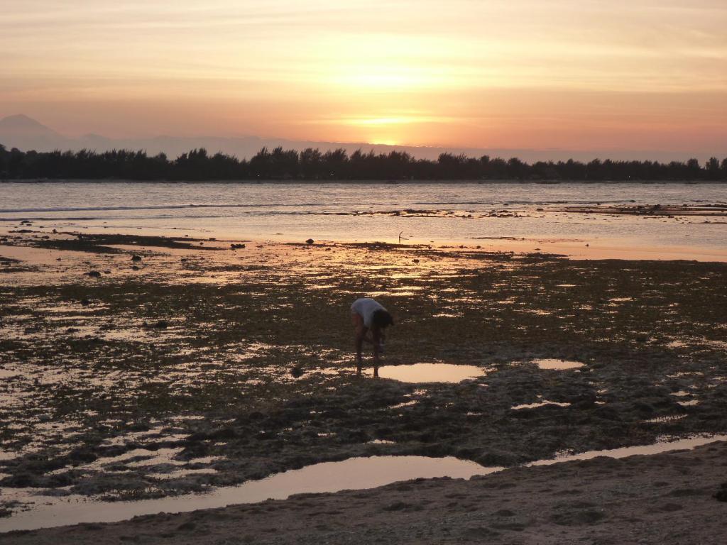 Rose Bungalow Hotel Pemenang ภายนอก รูปภาพ